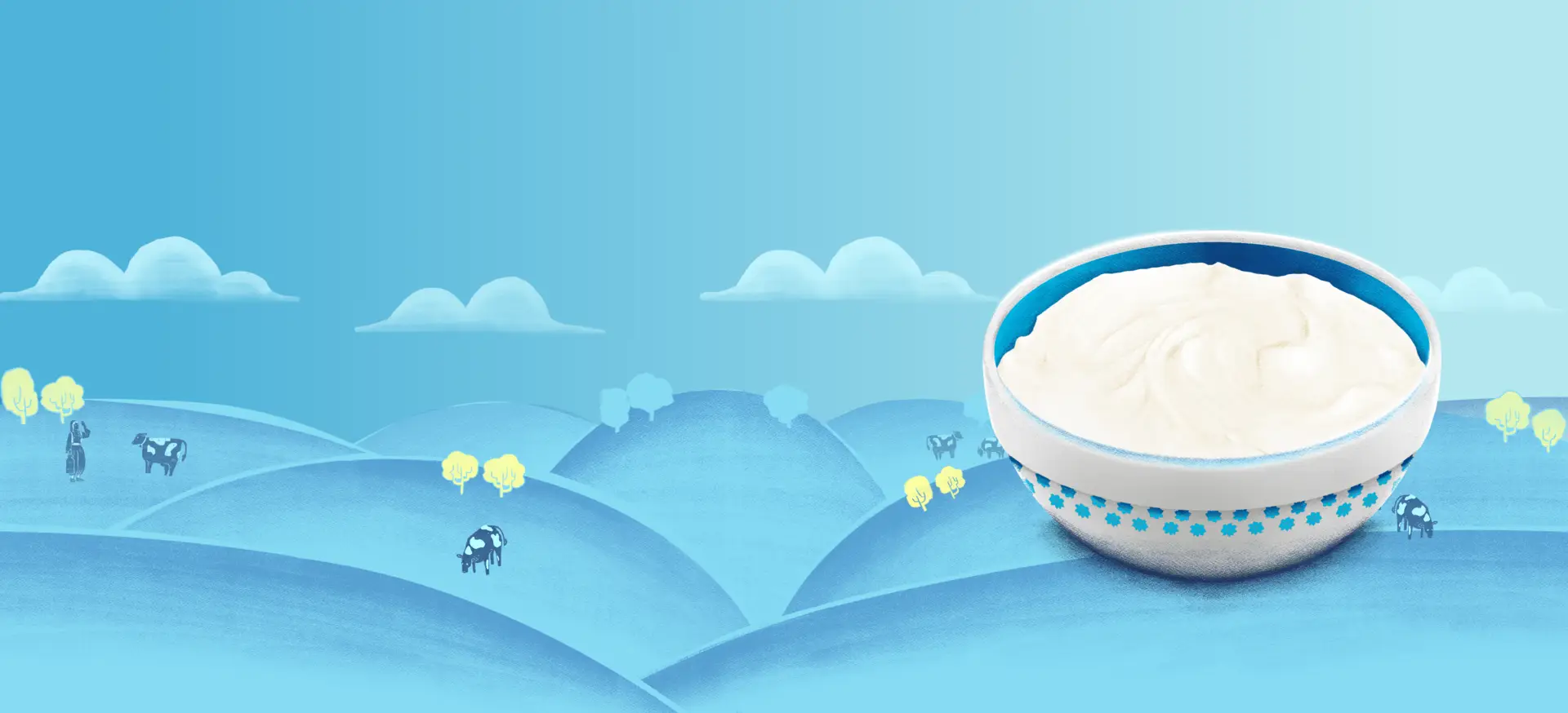 FULL FAT BUFFALO YOGURT